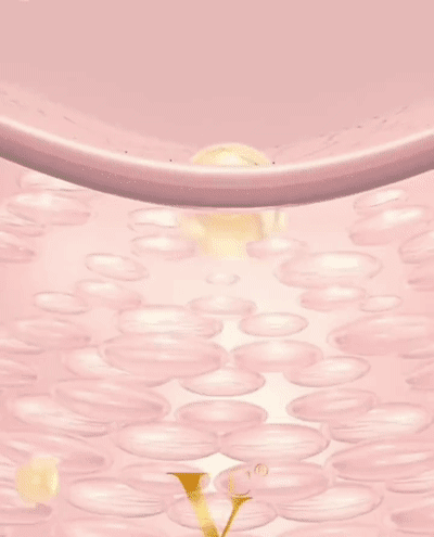 27.gif