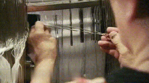 6.gif