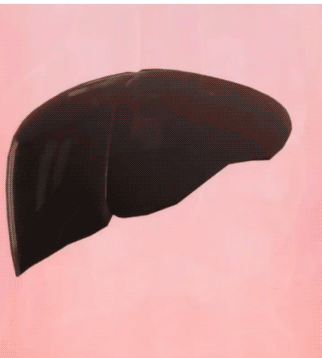 6.gif