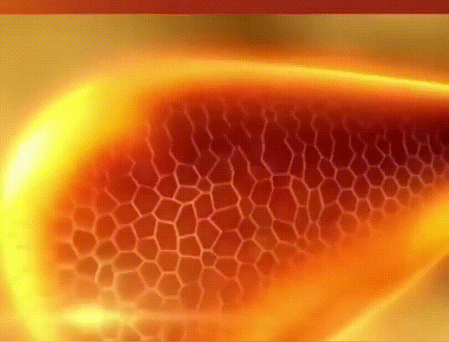14.gif