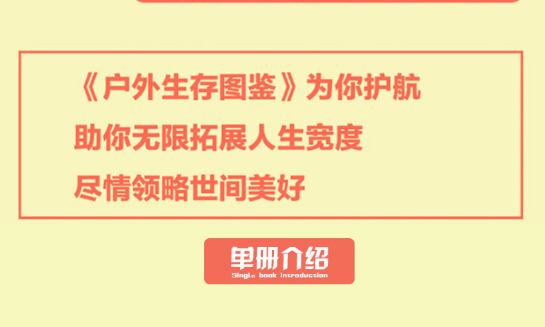 12.png