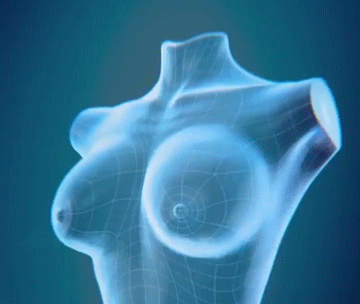 12.gif