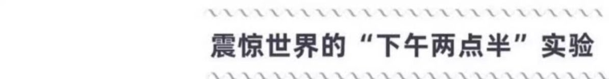 详情-10.jpg